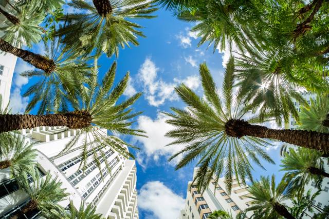 Stati Uniti - Miami Architettura art deco