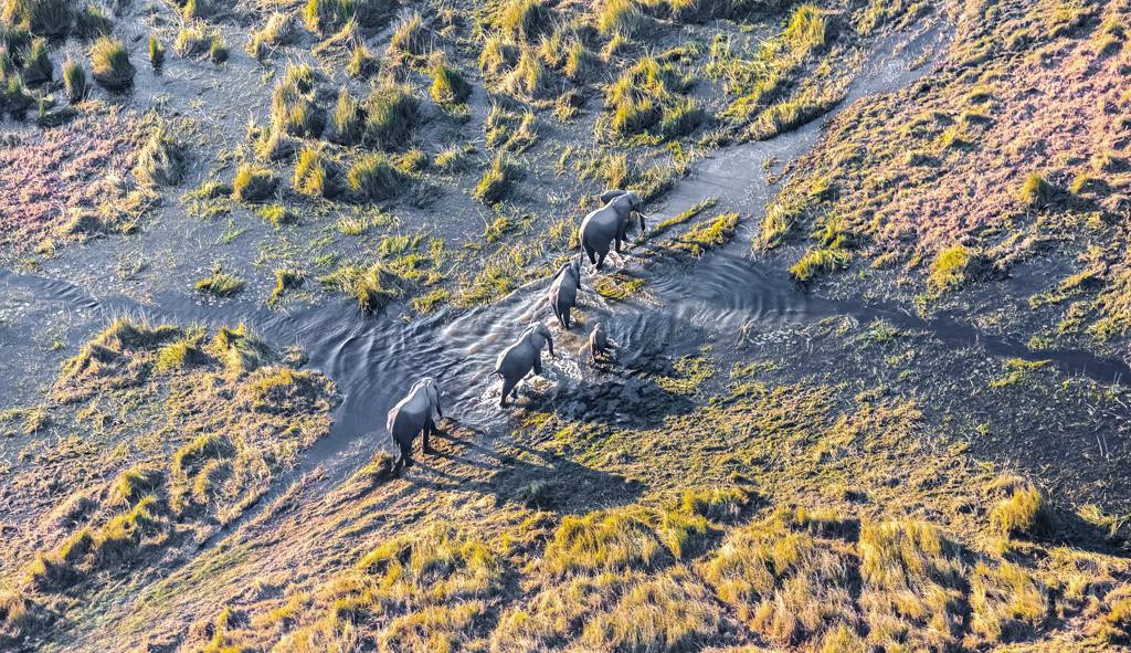 Moremi & Okavango Delta: 4 notti