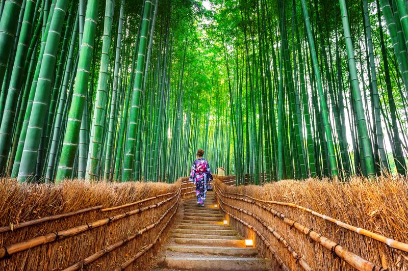  Giappone - Kyoto - Arashiyama Foresta bamboo kimono