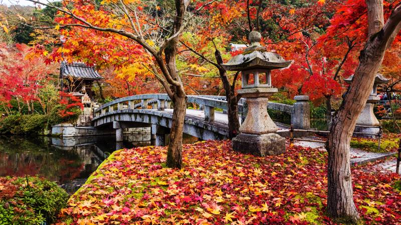 Giappone Kyoto giardino Eikando con ponte e santuario