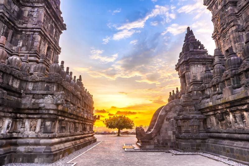  Monumentale architettura antica al bel tramonto, muri in pietra scolpita e un albero solitario tra di loro. Tempio indù di Candi Prambanan, Yogyakarta, Jawa, Indonesia.