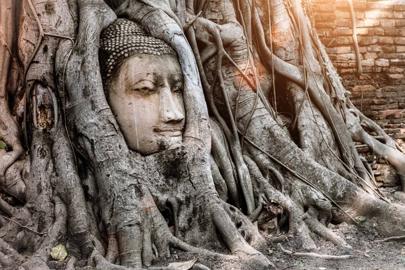 Sito Archeologico di Ayutthaya - Thailandia