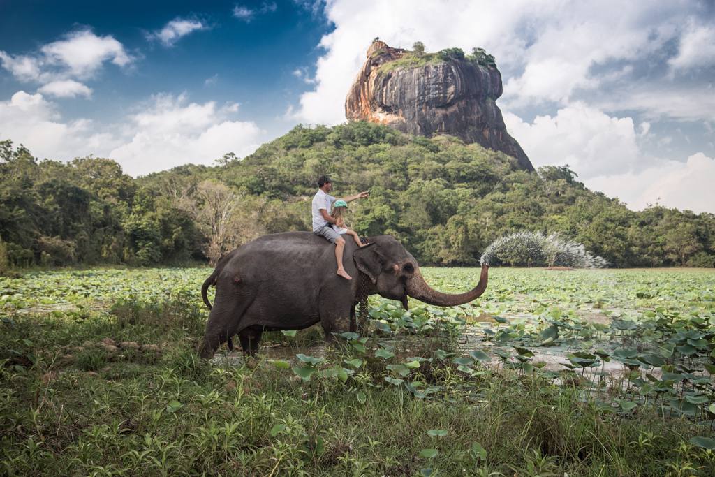 Sri Lanka - Sigiriya - Elefante con la roccia di Sigiriya come sfondo