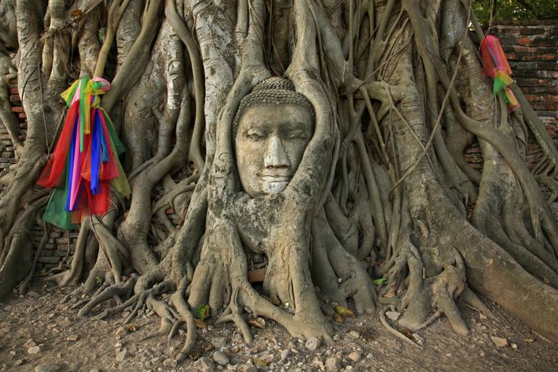 Thailandia - Sito Archeologico di Ayutthaya - Wat Mahathat