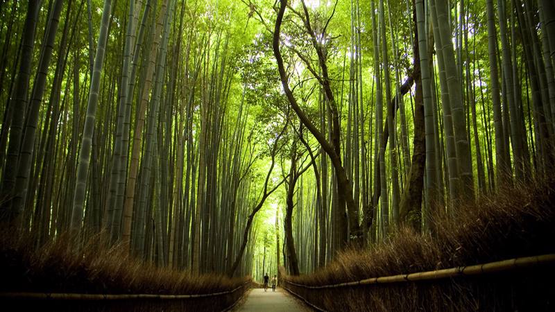 Giappone  - Kyoto - Arashiyama