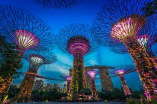 Singapore Garden by the Bay