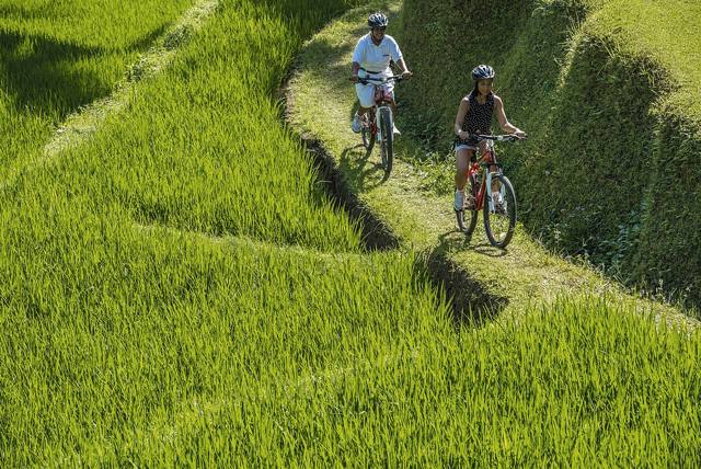 Indonesia - Bali - Passeggiata in bicicletta tra le risaie