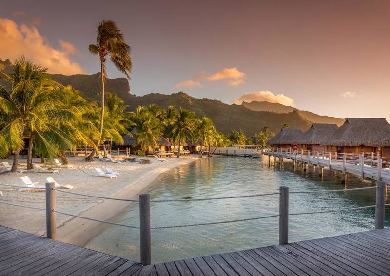 Polinesia  Fr. - Moorea (Isole della Società) Manava Beach Resort & Spa Lettini e vegetazione locale