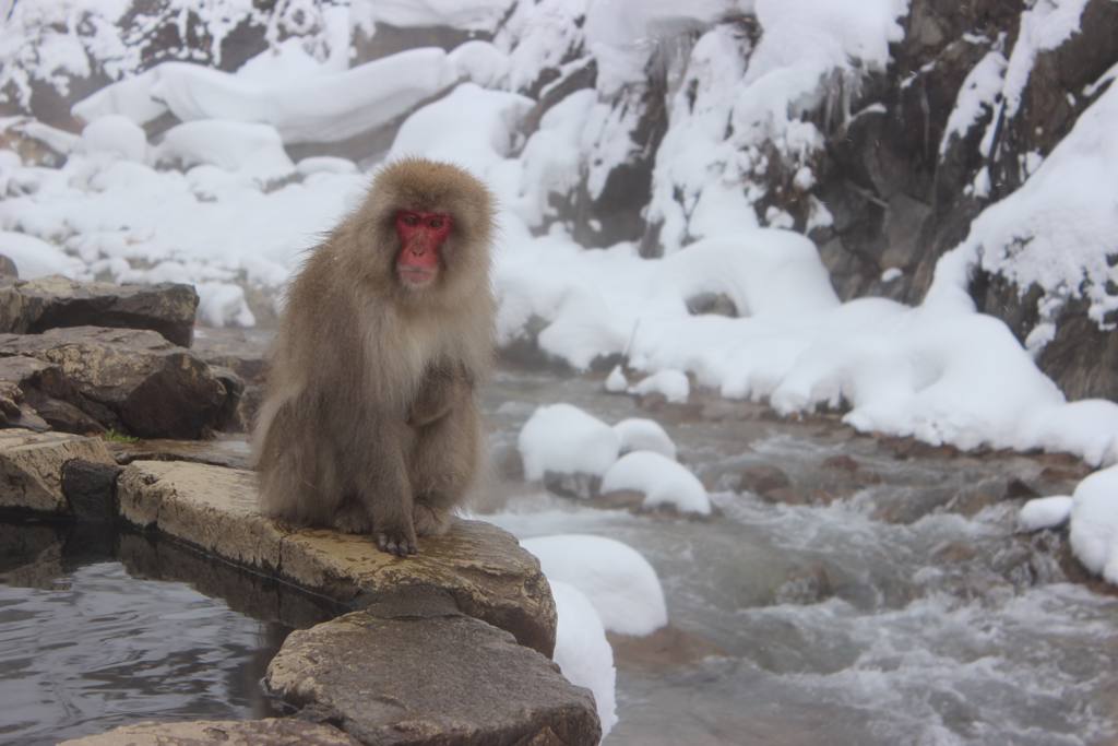 I Tesori della Montagna - Minitour 3 giorni/2 notti