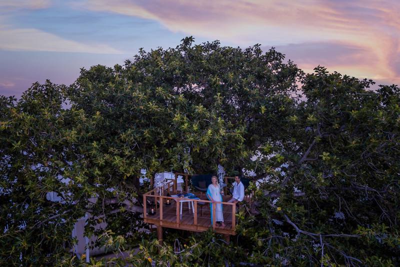 Maldive  Four Seasons - Landaa Giraavaru - Tree Top Dining 