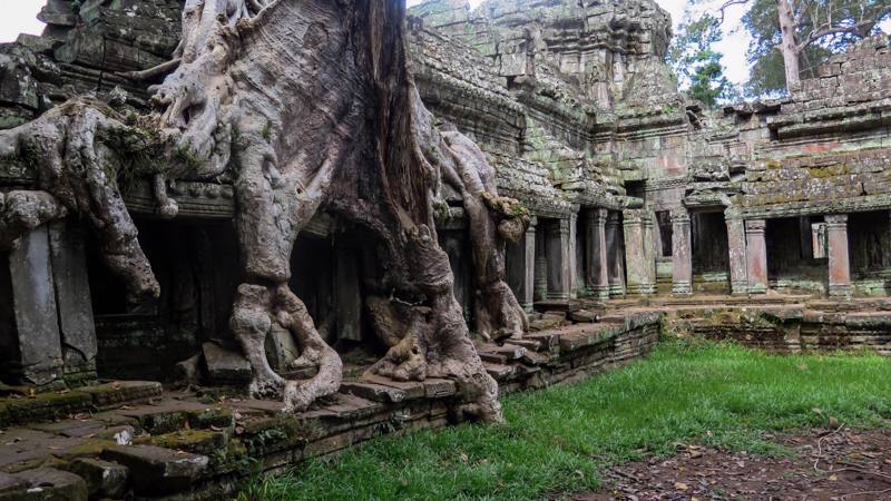 Cambogia  - Siem Reap tempio di Angkor Wat 