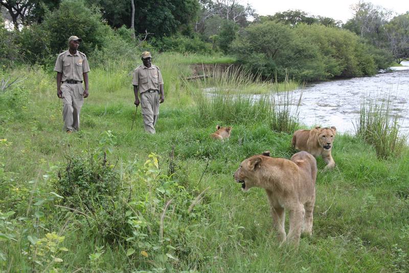 Zambia  David Livingstone Safari lodge & Spa