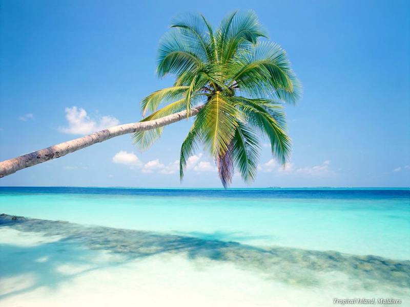Antigua e Barbuda Antigua Pineapple Beach Club