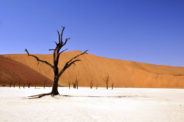 Viaggione in Namibia