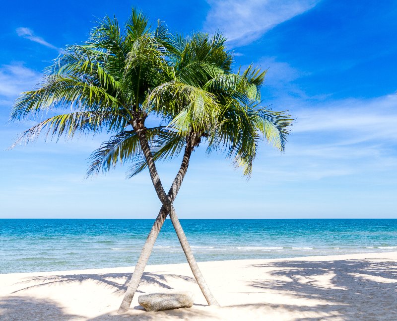 Repubblica Dominicana - Spiaggia - Palma  