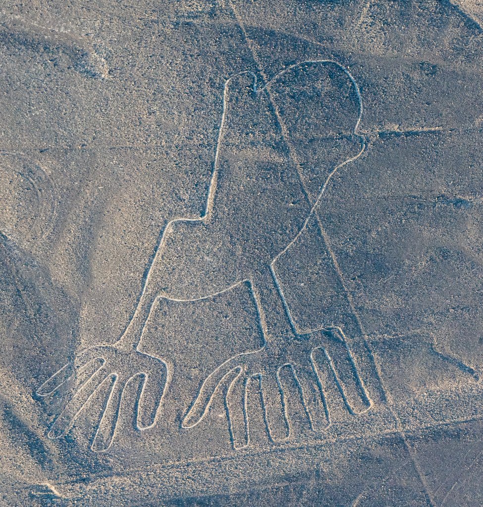 Perù Linee di Nazca