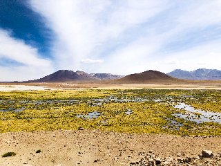 Cile deserto Atacama