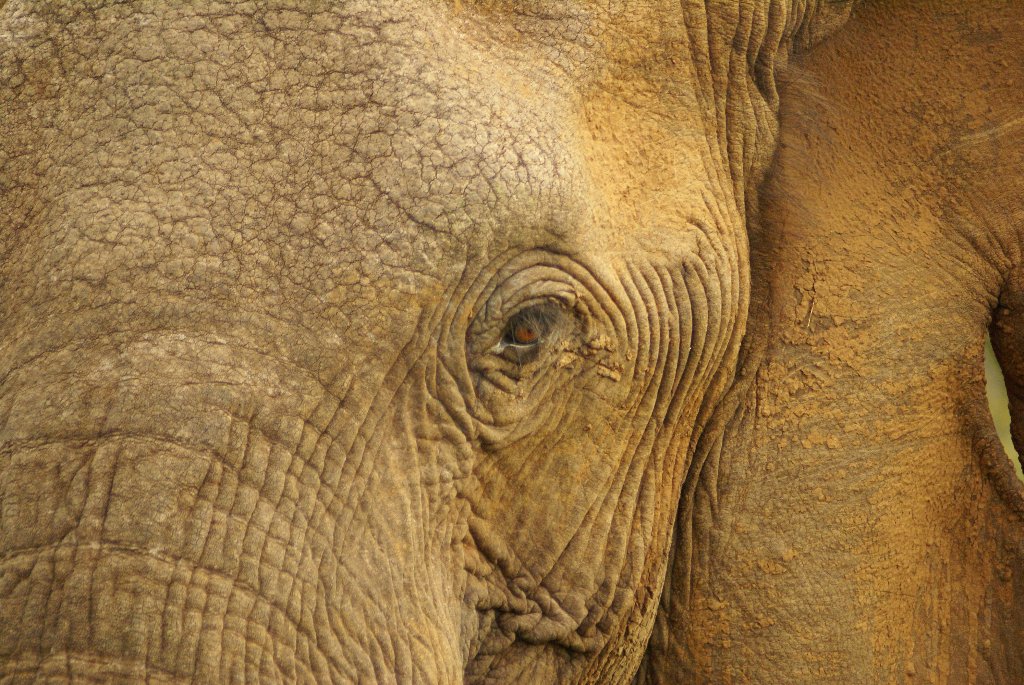 In viaggio con Jaime: Sudafrica - Tour di gruppo 8 giorni/7 notti