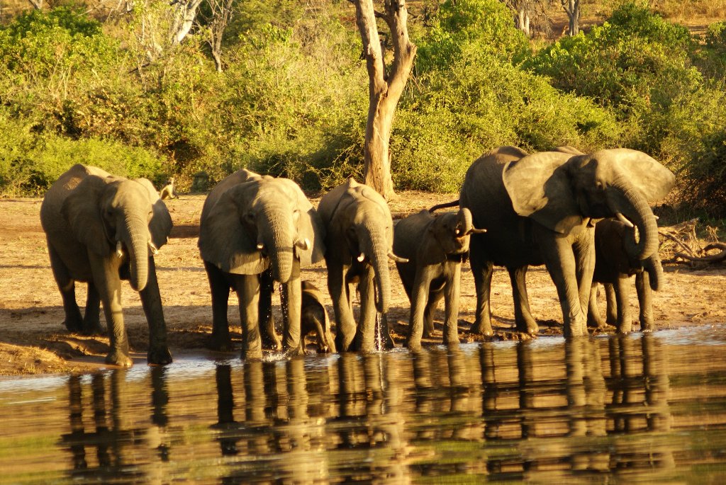 Botswana & Victoria Falls: Avventura tra Delta, Savana e Cascate - 8 notti