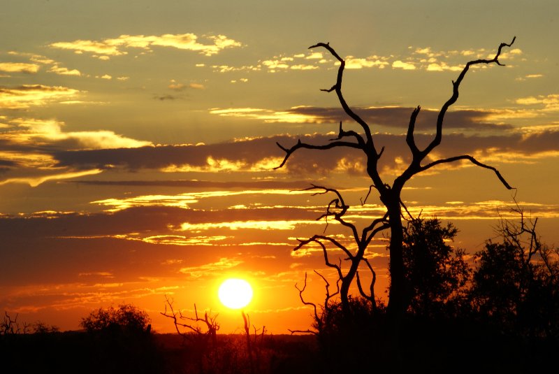 Sudafrica