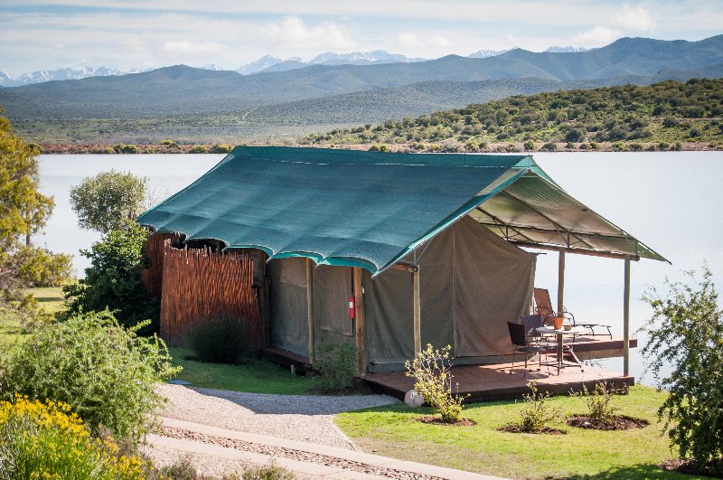 Oudtshoorn Buffelsdrift Game Lodge -  Luxury Waterfront Tent