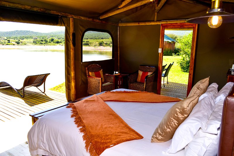 Oudtshoorn Buffelsdrift Game Lodge -  Luxury  Tent