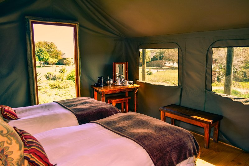 Sudafrica  - Oudtshoorn Buffelsdrift Game Lodge - Tenda luxury family