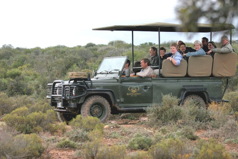 Sudafrica  - Oudtshoorn Buffelsdrift Game Lodge - Safari di gruppo in jeep