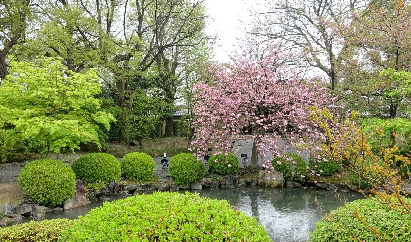 Giappone  - Kyoto 