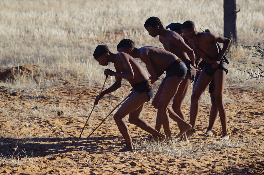 Namibia Completa: dal Fish River Canyon al Parco Etosha - 15 notti