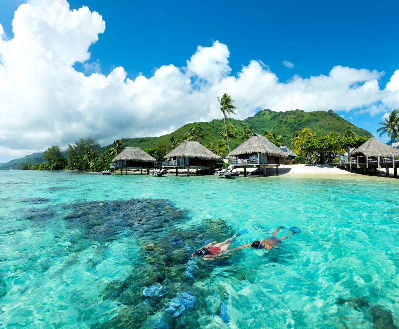 Polinesia  Fr. - Moorea - Hilton Moorea Lagoon Resort & Spa - Vista Lagoon Villa con attività di snorkeling