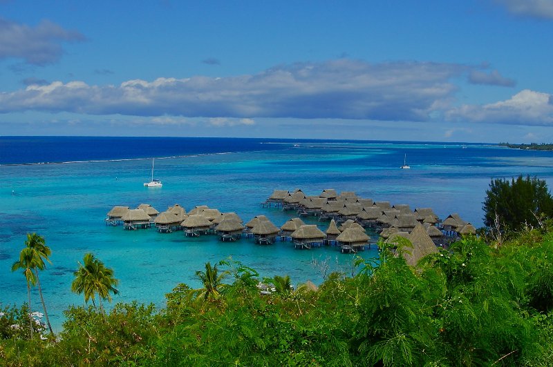 Polinesia  Fr. - Moorea - Overwater tra laguna e natura rigogliosa