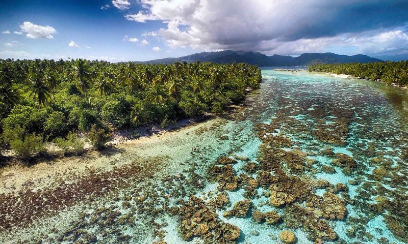Polinesia  Fr. - Taha'a - Le Taha' a Island Resort & Spa - Coral Garden