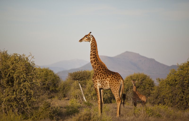 Sudafrica  - Graaf Reinet Samara Karoo Lodge