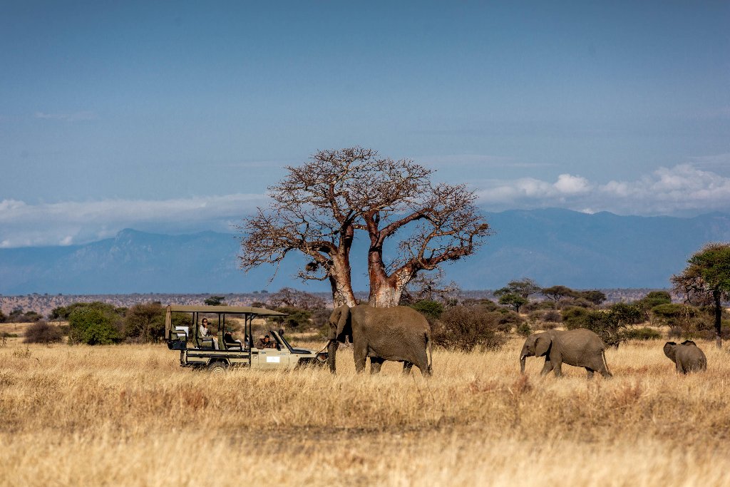 Tarangire - Ngorongoro Adventure - Tour di 4 giorni/3 notti