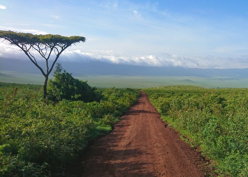 Tanzania  - Cratere del Ngorongoro - Panorama