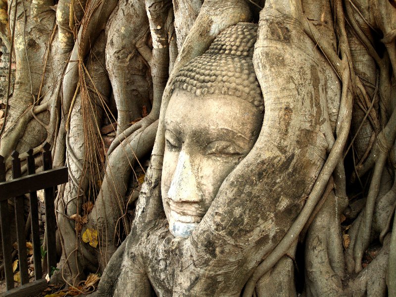 Ayutthaya - Sito Archeologico