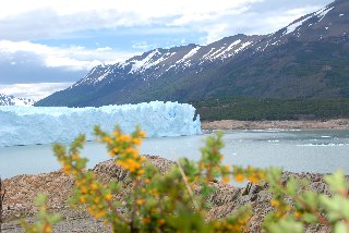 Argentina - El Calafate - Perito Moreno