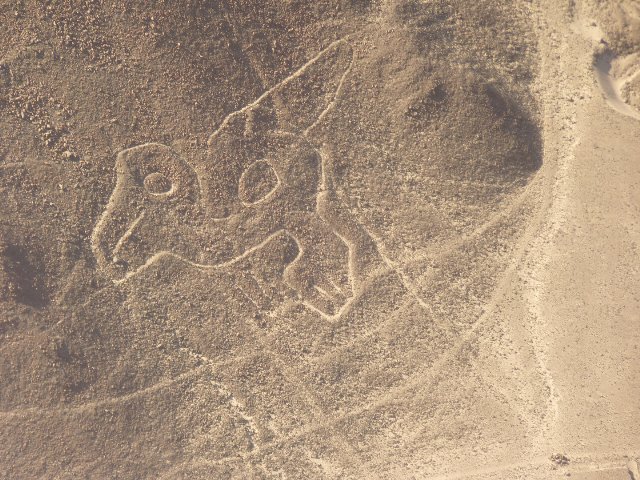 Perù  - Nazca - Nazca Lines 
