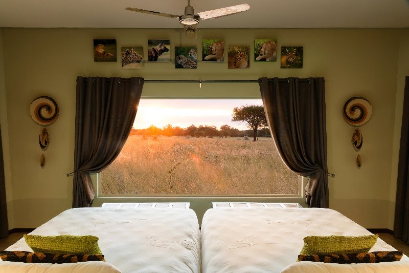 Namibia  - Otjiwarongo-  Okonjima Plains Camp - view room