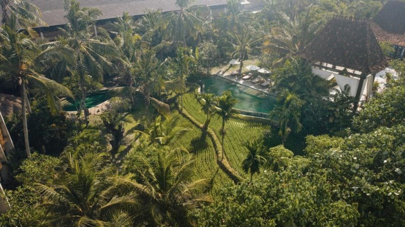 Indonesia Bali Ubud Alaya Resort - vista esterna