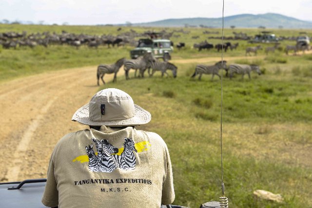 Safari in fuoristrada nella savana della Tanzania durante un tour organizzato