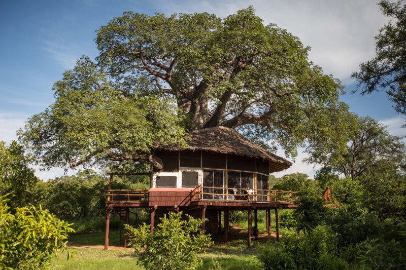 Tanzania - Parco Nazionale del Tarangire Elewana Tarangire Treetops