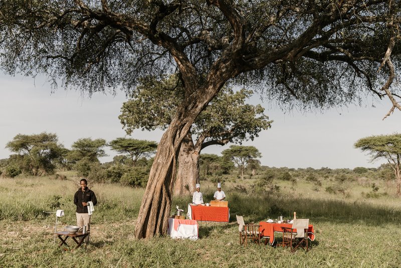 Tanzania - Parco Nazionale del Tarangire Elewana Tarangire Treetops