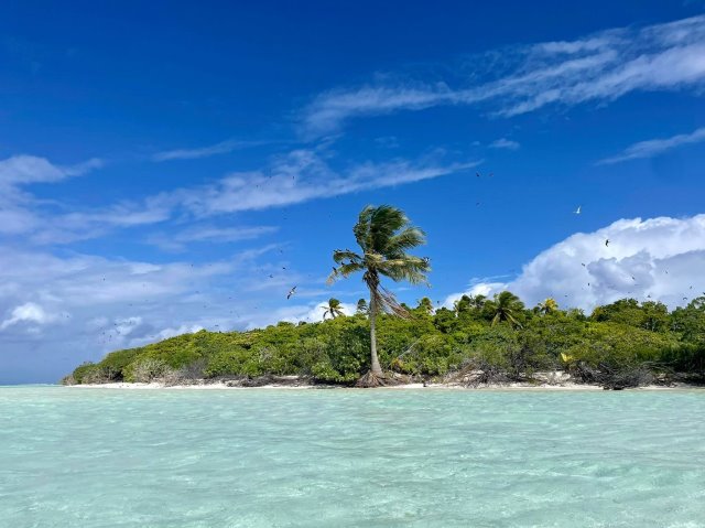Polinesia Fr. - Papeete - Un giorno a Tetiaroa (Tahiti Voile & Lagon)