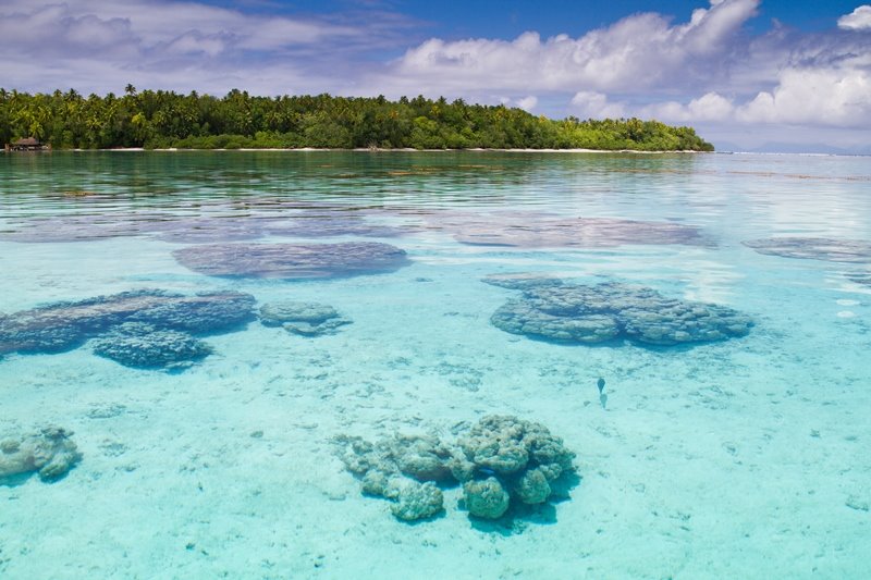 Polinesia Fr. - Papeete - Un giorno a Tetiaroa (Tahiti Voile & Lagon)