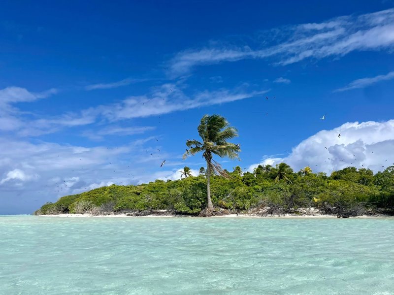 Polinesia Fr. - Papeete - Un giorno a Tetiaroa (Tahiti Voile & Lagon)