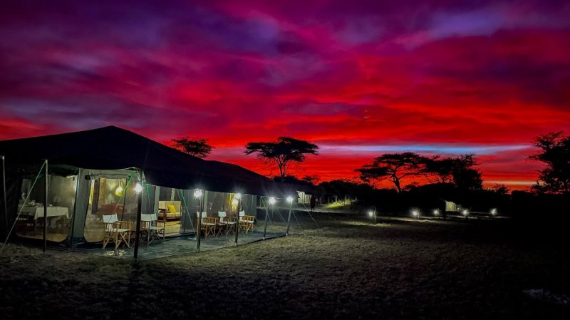 Tanzania - Parco nazionale del Serengeti - Nyabogati Camp