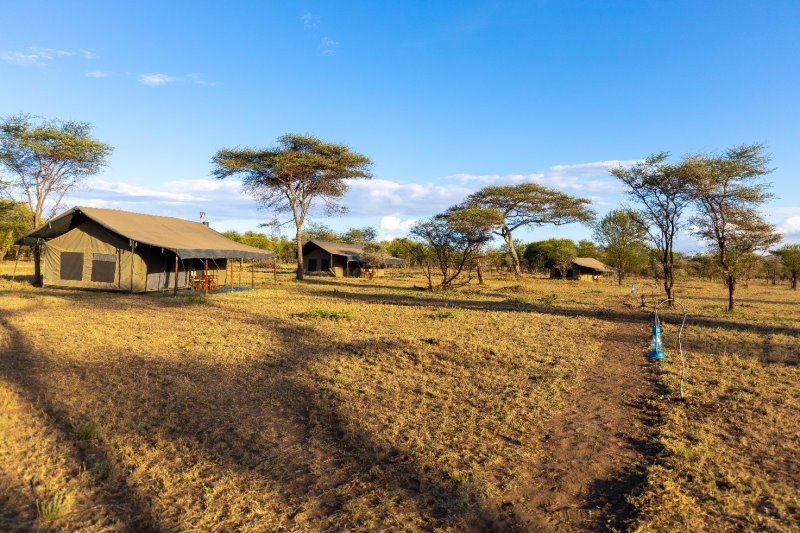 Tanzania - Parco nazionale del Serengeti - Nyabogati Camp