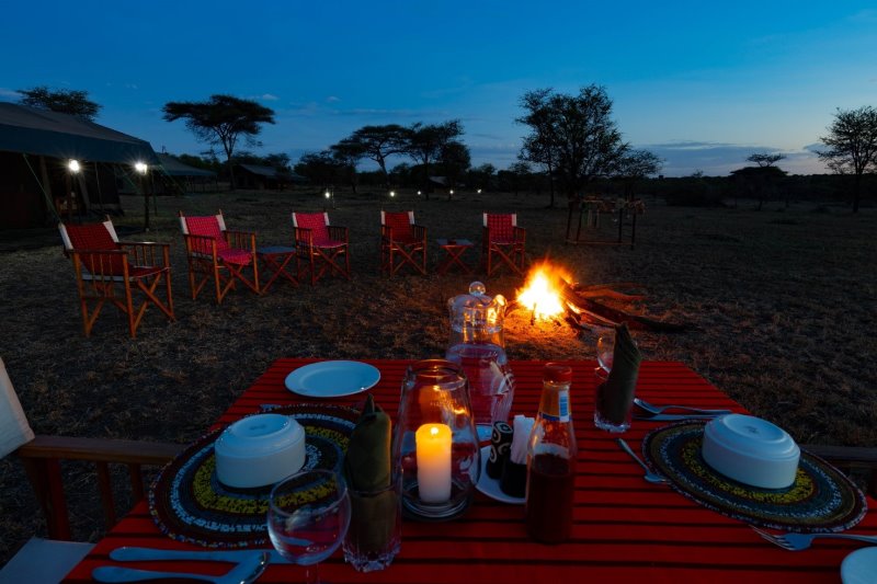 Tanzania - Parco nazionale del Serengeti - Nyabogati Camp